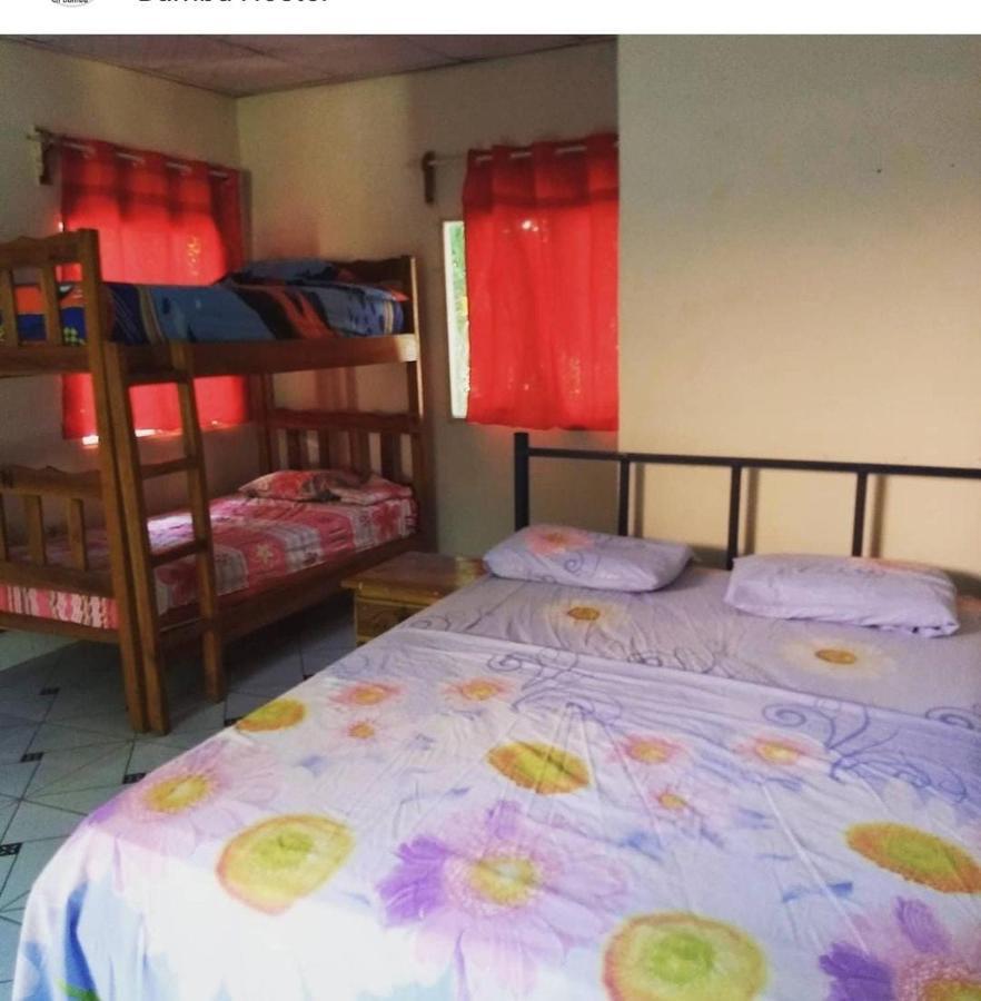 Bambu Hostel David Esterno foto